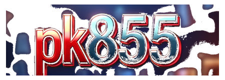 pk855 logo